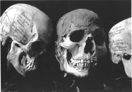 skulls.jpg